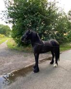 Prachtige 8 jarige Fell pony merrie, Niet van toepassing, 7 tot 10 jaar, Recreatiepony, D pony (1.37m tot 1.48m)
