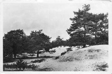(388-344-009) Driebergen-Rijsenburg In de duinen beschikbaar voor biedingen