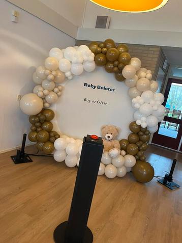 Ballonen backdrop, verjaardag of gender reveal beschikbaar voor biedingen