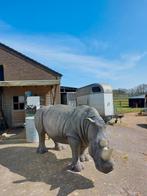 Levensgroot neushoorn beeld, Ophalen, Zo goed als nieuw, Dier