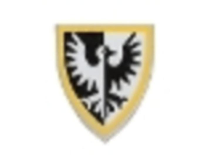 Lego Castle Schild Black Falcons Driehoekig Geel 3846p46, Kinderen en Baby's, Speelgoed | Duplo en Lego, Zo goed als nieuw, Lego
