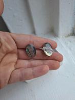 Sterling Zilveren Oorbellen met Abalone Schelp Paua Clip-on, Ophalen of Verzenden, Zo goed als nieuw, Zilver, Met edelsteen