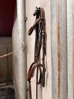 Stubben hoofdstel en borsttuig, Dieren en Toebehoren, Ophalen of Verzenden, Gebruikt, Overige soorten