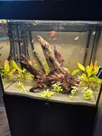 Juwel lido 200 aquarium zeer compleet, Dieren en Toebehoren, Vissen | Aquaria en Toebehoren, Ophalen, Zo goed als nieuw, Gevuld zoetwateraquarium