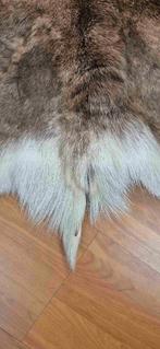 Rendierhuid 170/120, Gebruikt, 100 tot 150 cm, Etten-Leur, DJT@dejuistetoon.eu