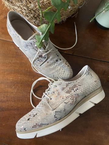 Aparte metalic snake leren schoenen PIEDI NUDI mt 40 i.g.st. beschikbaar voor biedingen