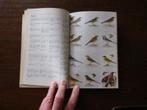 Wat vliegt daar? Boekje vol vogelafbeeldingen, Hobby en Vrije tijd, Scrapbooking, Album of Boek, Overige merken, Ophalen of Verzenden