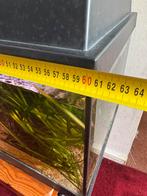 Leeg aquarium, Ophalen of Verzenden, Leeg aquarium