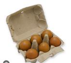 Gezocht lege eierdoosjes 6 eieren zie tekst! Gratis, Gebruikt, Ophalen of Verzenden