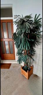 Kunstplant palm (moet snel weg), Ophalen of Verzenden, Zo goed als nieuw