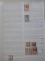Dik Davo GT stockboek 64 pagina's Australia, Ophalen of Verzenden, Buitenland