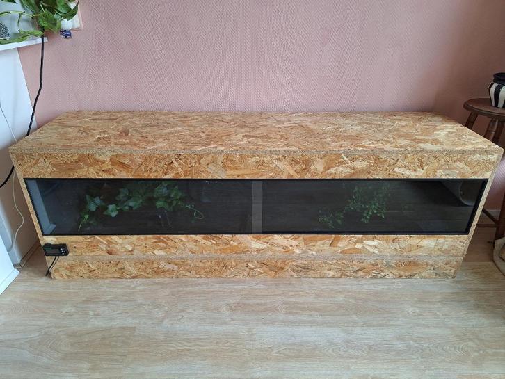 OSB 3 Terrarium 50x50x180 cm met onderstel fittingen en meer, Dieren en Toebehoren, Reptielen en Amfibieën | Toebehoren, Zo goed als nieuw