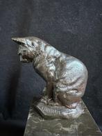 Poes op hoge natuurstenen sokkel.Brons/Bronzen, Ophalen of Verzenden
