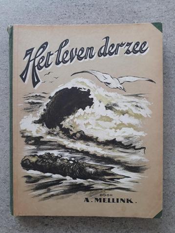 Het leven der zee beschikbaar voor biedingen