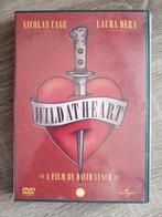 Wild at heart aktie dvd Nicolas cage, Vanaf 16 jaar, Ophalen of Verzenden, Zo goed als nieuw, Actie