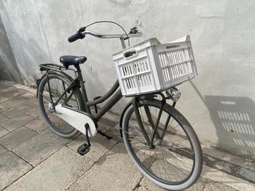 Perfect Transport Cortina U4 Meisjesfiets 26 i Nieuwe model beschikbaar voor biedingen