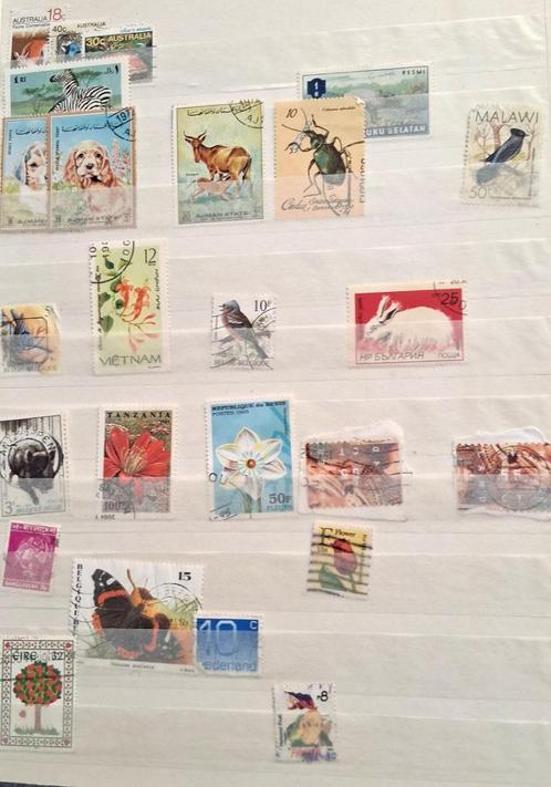 Unieke verzameling postzegels, Postzegels en Munten, Postzegels | Volle albums en Verzamelingen, Nederland en Buitenland, Ophalen of Verzenden