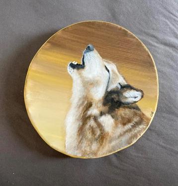 Oceandrum wolf beschikbaar voor biedingen