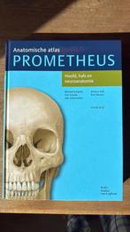 Udo Schumacher - Hoofd, hals en neuroanatomie, Boeken, Ophalen, Nieuw, Udo Schumacher; Michael Schünke; Erik Schulte