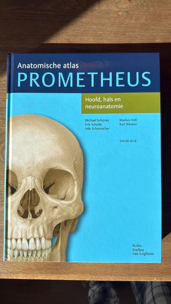 Udo Schumacher - Hoofd, hals en neuroanatomie, Boeken, Wetenschap, Nieuw, Ophalen