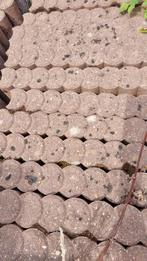 Palissade, Tuin en Terras, Ophalen, 25 tot 50 cm, Nieuw, Minder dan 25 cm