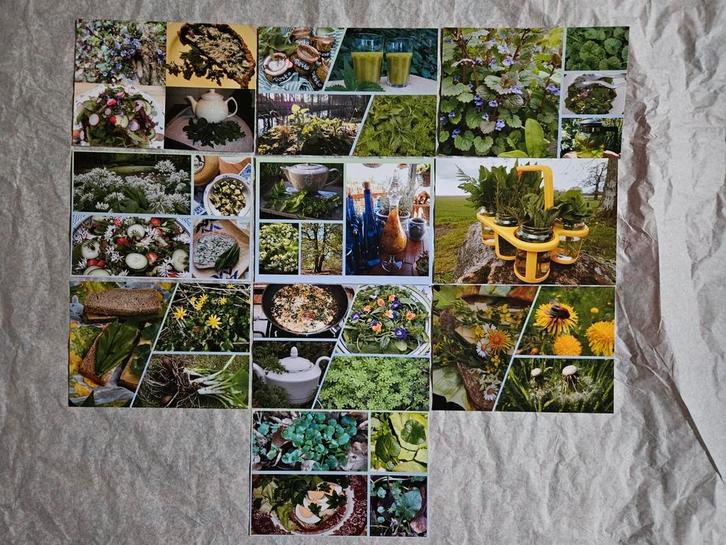 Ansichtkaarten Anneke Bleeker set B, Verzamelen, Ansichtkaarten | Themakaarten, 1980 tot heden, Natuur, Ophalen of Verzenden