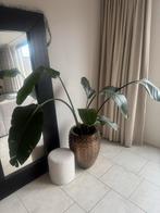 Bronzen Vaas Pot L Eric Kuster Look incl. gratis plant, Tuin en Terras, Gebruikt, Rond, Binnen, Metaal