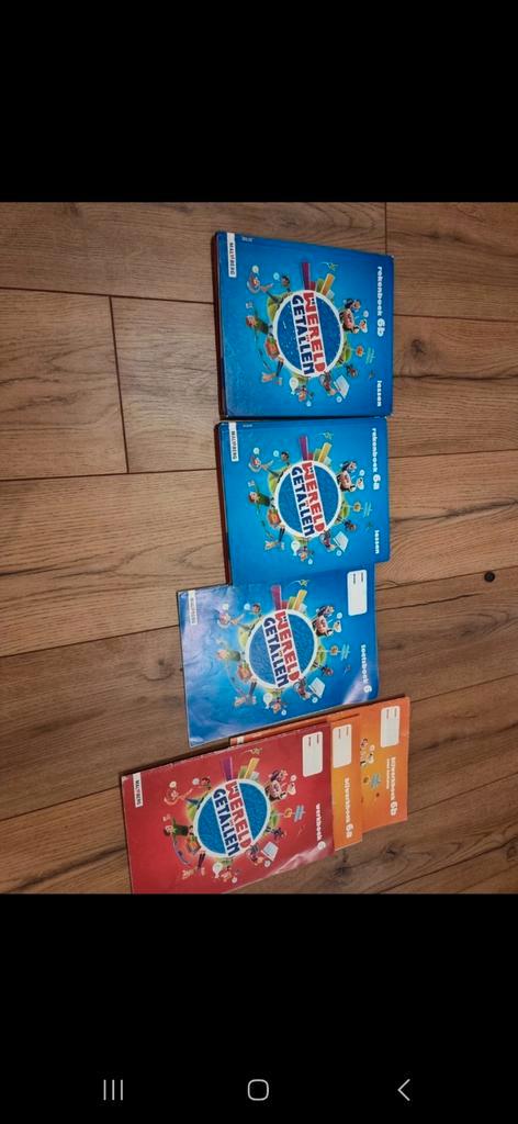 Wereld in Getallen Groep 6 - Compleet Pakket, Boeken, Schoolboeken, Zo goed als nieuw, Wiskunde A, Overige niveaus, Ophalen of Verzenden