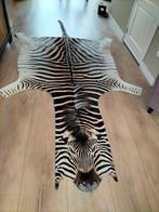 Zebra vel uit Krugerpark, Ophalen of Verzenden, Zo goed als nieuw