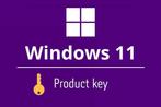 Windows 11 Home licentie, Computers en Software, Nieuw, Ophalen of Verzenden, Windows