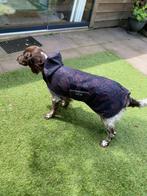 Hondenjas, Ophalen of Verzenden, Zo goed als nieuw, Hondenjas