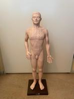 Acupunctuur pop (man) 72 cm, Ophalen, Zo goed als nieuw, Overige typen