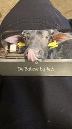 Mestsilo te huur, Dieren en Toebehoren, Stalling en Weidegang, Toebehoren