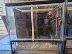 Terra met 3d inrichting, Dieren en Toebehoren, Reptielen en Amfibieën | Toebehoren, Ophalen, Zo goed als nieuw, Terrarium of Paludarium