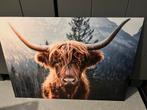 Schotse hooglander op aluminium €10,- afhaal, Ophalen, Nieuw