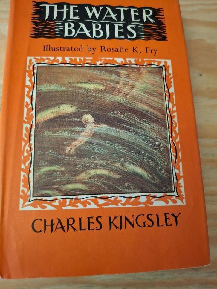 The Waterbabies", Boeken, Taal | Engels, Gelezen, Verzenden