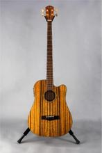 Fender akoestische bas, Victor Bailey signature, Muziek en Instrumenten, Snaarinstrumenten | Gitaren | Bas, Ophalen, Zo goed als nieuw