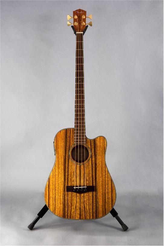 Fender akoestische bas, Victor Bailey signature, Muziek en Instrumenten, Snaarinstrumenten | Gitaren | Bas, Zo goed als nieuw