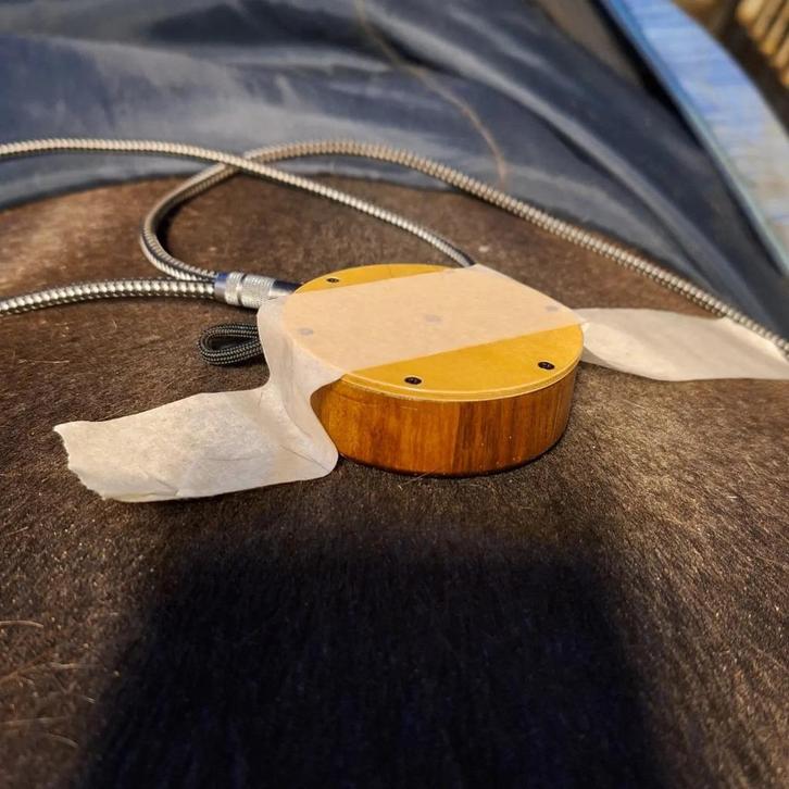 Van binnenuit sterk! TCM, Bodywork en Information medicine, Diensten en Vakmensen, Dieren | Overige | Verzorging, Oppas en Les