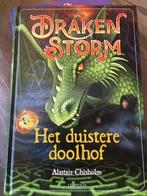 Draken storm, Ophalen of Verzenden, Zo goed als nieuw
