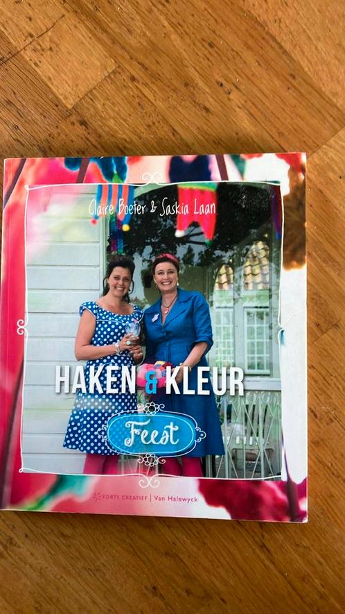 Saskia Laan - Haken en kleur, Boeken, Hobby en Vrije tijd, Zo goed als nieuw, Breien en Haken, Ophalen of Verzenden