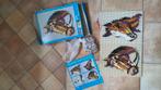 ministeck paarden hoofden, Ophalen, Gebruikt, Box-set