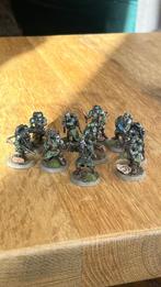 Warhammer 40k Kill Team Death Corp Of Krieg Veteran Guardsme, Hobby en Vrije tijd, Wargaming, Ophalen of Verzenden, Zo goed als nieuw