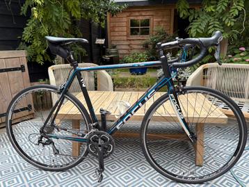 Focus Culebro XL - Ultegra - recente service! beschikbaar voor biedingen