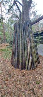 Fruitboompalen, ca. 100 stuks, Tuin en Terras, Palen, Balken en Planken, Ophalen, Gebruikt