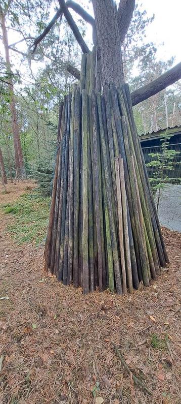 Fruitboompalen, ca. 100 stuks beschikbaar voor biedingen