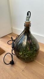 Ecosysteem met lamp, Huis en Inrichting, Kamerplanten, Ophalen