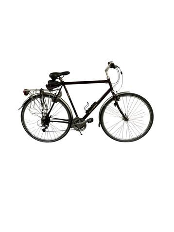 Koga Miyata Terraliner - Frame 60 beschikbaar voor biedingen