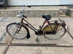 Gazelle populair oldtimer dames fiets, 55 tot 59 cm, Ophalen of Verzenden, Gazelle, Jaren '60 of nieuwer