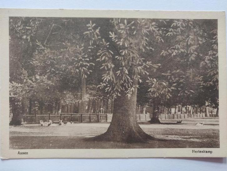 S292 Assen, Verzamelen, Ansichtkaarten | Nederland, Drenthe, 1920 tot 1940, Ophalen of Verzenden